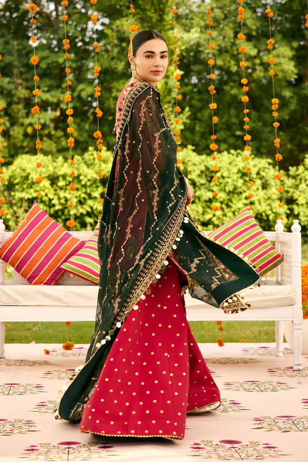 AF-ZN-2216-Ghoomar
